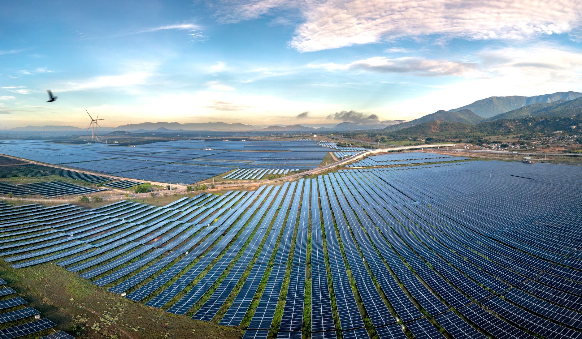 Large solar farm at dawn, representative of the Dholera solar park